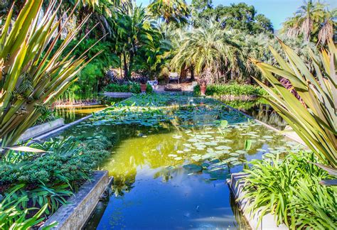 What Is Lotus Land Santa Barbara? Insider's Guide