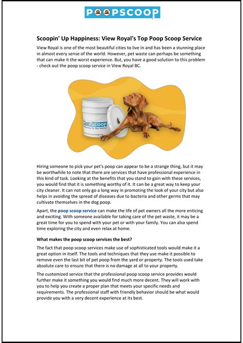 What Is Scoop And Joy? Your Happiness Solution