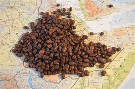 What Is The Birthplace Of Coffee Solved Explained 2025 What Is The Birthplace Of Coffee Solved Explained 2025