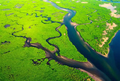 What Is The River Delta