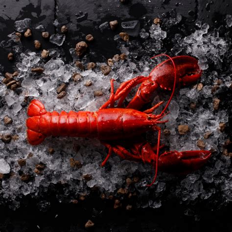 What's Behind Remember The Lobster? Cracking The Code