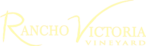 What's Rancho Victoria Vineyard? Wine Tasting Guide