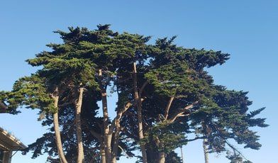 When Are Fires In Ventura County Most Common? Safety Guide