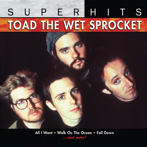 When Did Toad The Wet Sprocket Get Popular? Behind The Hits