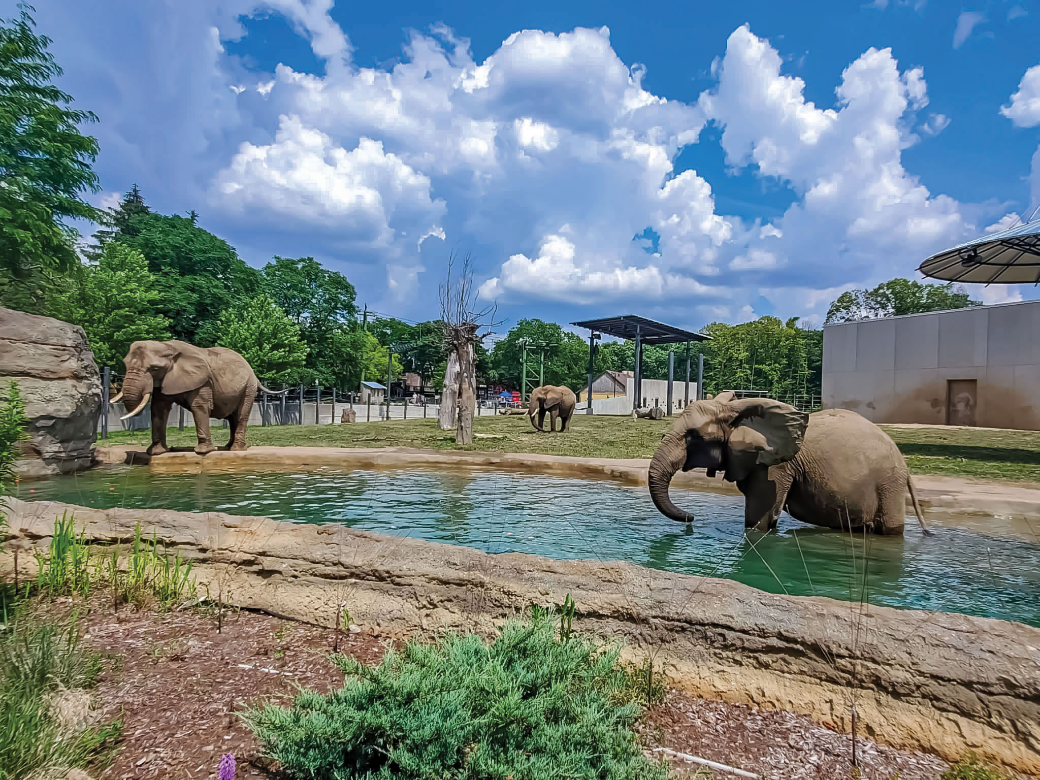 When Is Zoo Santa Barbara Open? Plan Your Visit