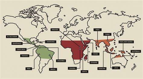 Where Is Coffee Originally From