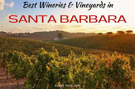 Wineries Near Santa Barbara