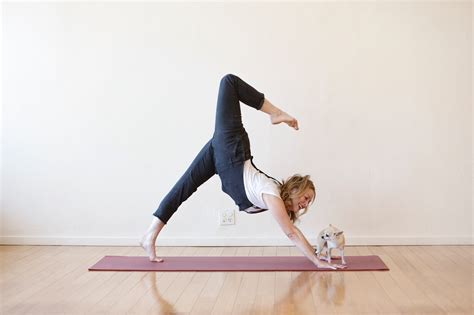 Yoga Soup Sb: Wellness In Every Bowl