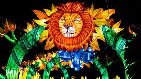 Zoo Lights Sb: Complete Holiday Event Details